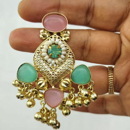 Pastel Shade Gold Plated Earrings